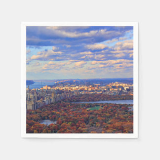 A view from above: Autumn in Central Park 01 Napkin