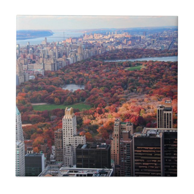 A view from above: Autumn in Central Park 01 Tile (Front)