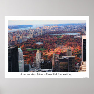 A view from above: Autumn in Central Park 01C Poster