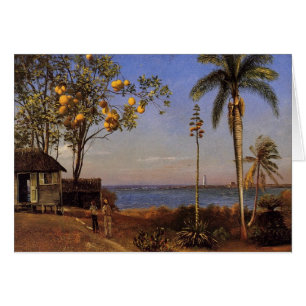 A view in the Bahamas - Albert Bierstadt