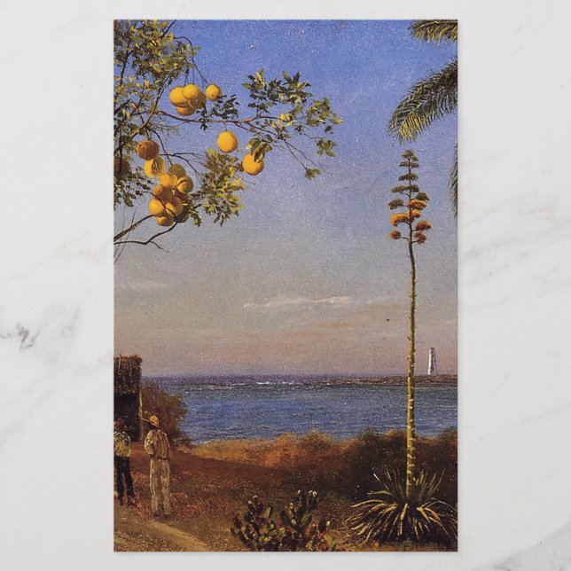 A View in the Bahamas by Bierstadt Albert. (Front)