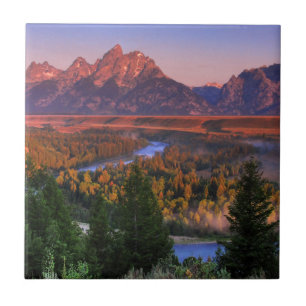 A View in the Morning Tile