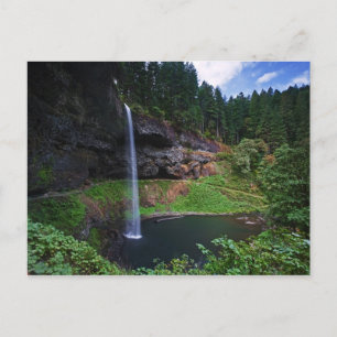 A view of South Falls in Silver Falls State Park Postcard