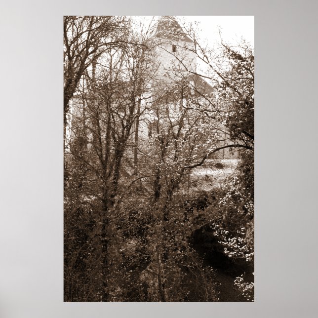 A View Of The Castle From The Forest Poster (Front)