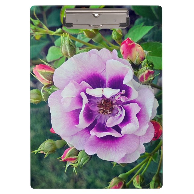 A violet rose clipboard (Front)