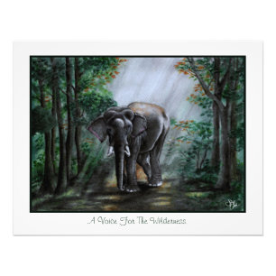 A Voice For The Wilderness Photo Print