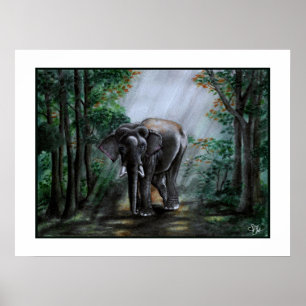 A Voice For The Wilderness Poster