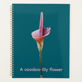 A voodoo-lily flower planner