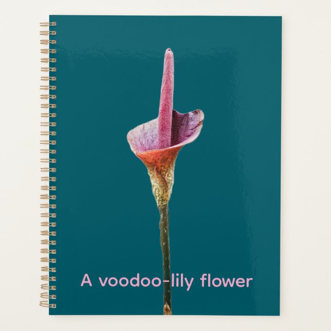 A voodoo-lily flower planner (Front)