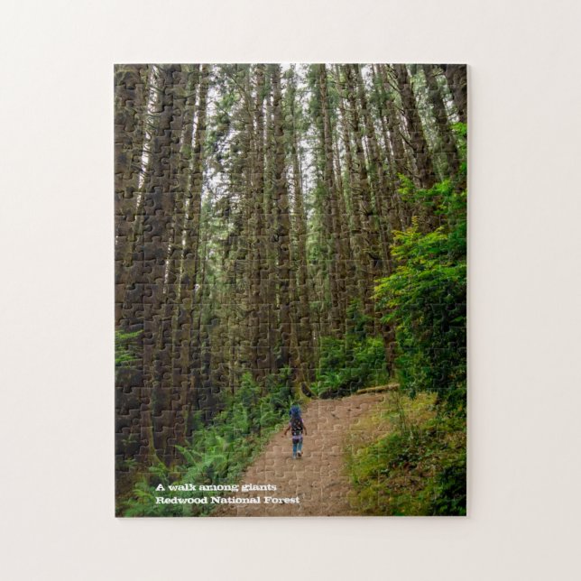 A walk among giants - Redwood National Forest Jigsaw Puzzle (Vertical)