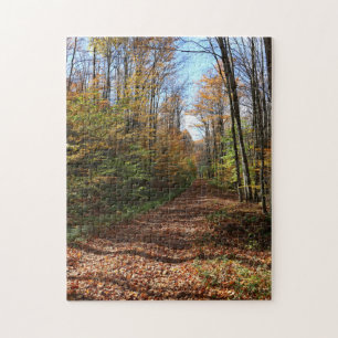 A Walk Among The Colorful Fall Leaves Family Fun Jigsaw Puzzle