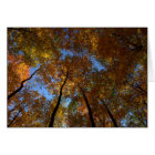 A Walk At Charleston Falls #18