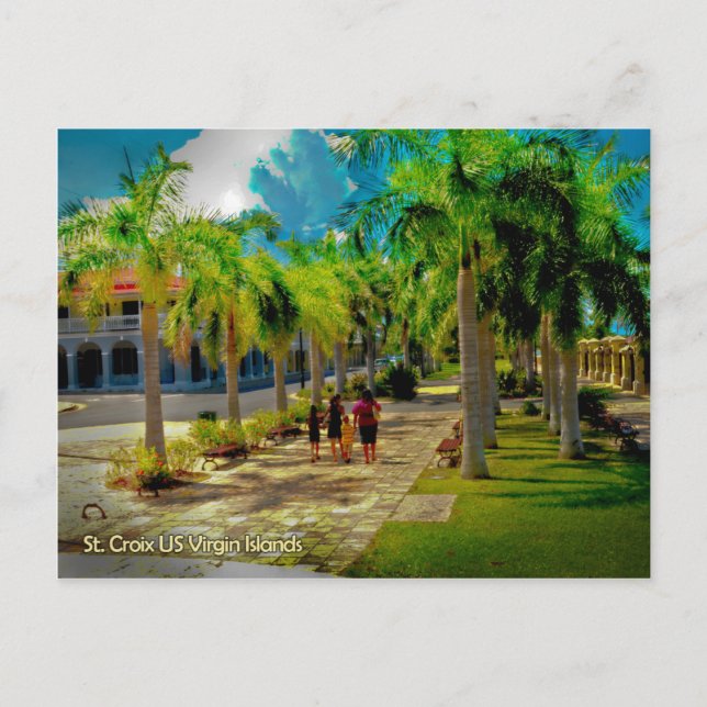A Walk in Frederiksted Virgin Islands Postcard (Front)