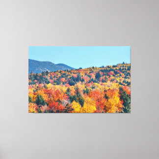 A Walk in Nature Canvas Print