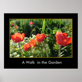 A Walk in the Garden Poster