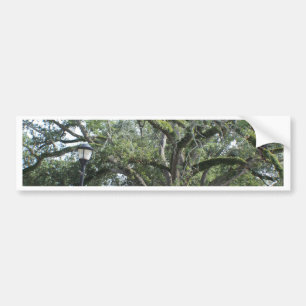A Walk in the Park Bumper Sticker