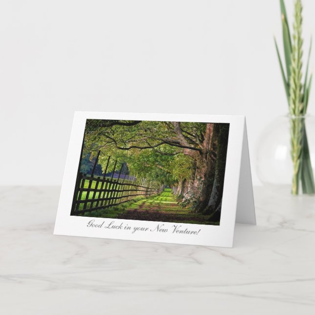 A Walk In The Park - Good Luck in your New Venture Card (Front)