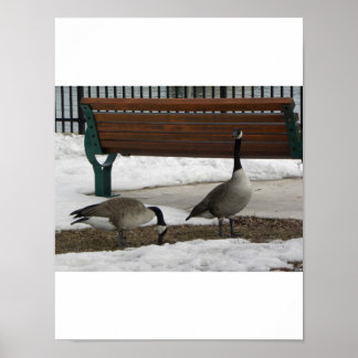 A Walk in the Park Poster