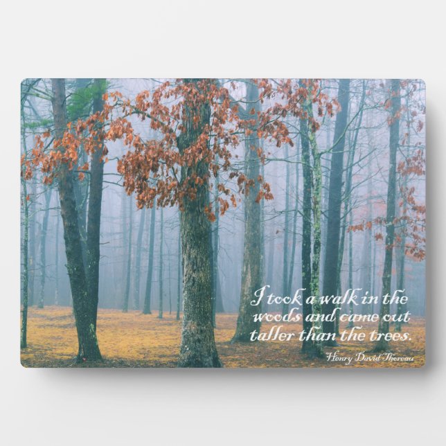 A Walk in the Woods Plaque (Front)