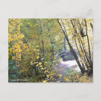 A Walk in the Woods Postcard