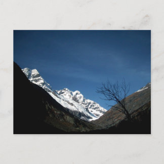 A WALK POSTCARD