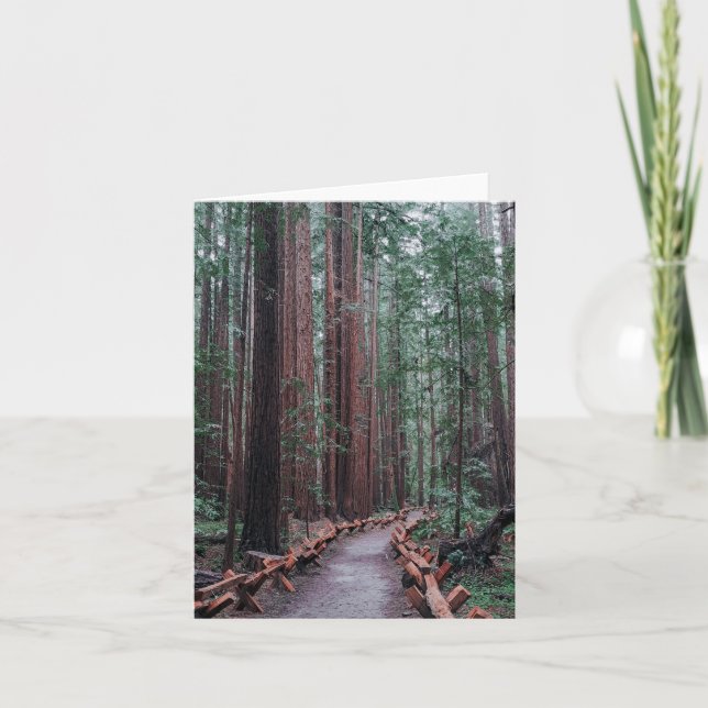 A walk through the redwoods note card (Front)