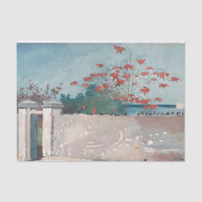 A Wall, Nassau by Winslow Homer Tissue Paper (Front)