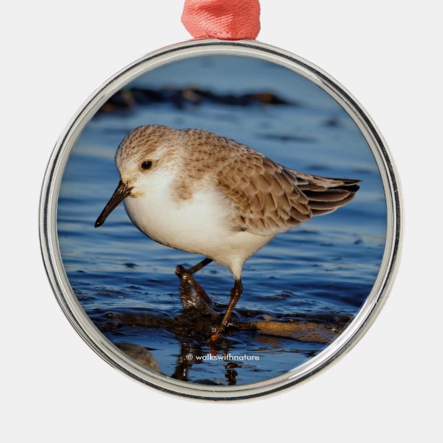 A Wandering Sanderling Metal Tree Decoration (Front)