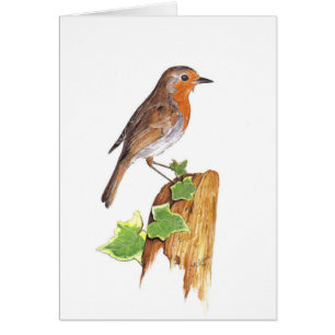 A watchfull Robin, fine art, watercolour