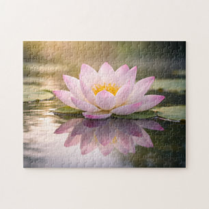 A Waterlily Jigsaw Puzzle