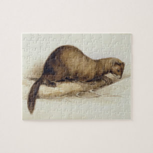 A Weasel, 1832 (w/c, pen, ink, gouache and gum ove Jigsaw Puzzle