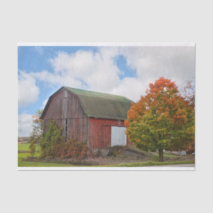 A Weathered Red Barn with a Twin Tree Tissue Paper