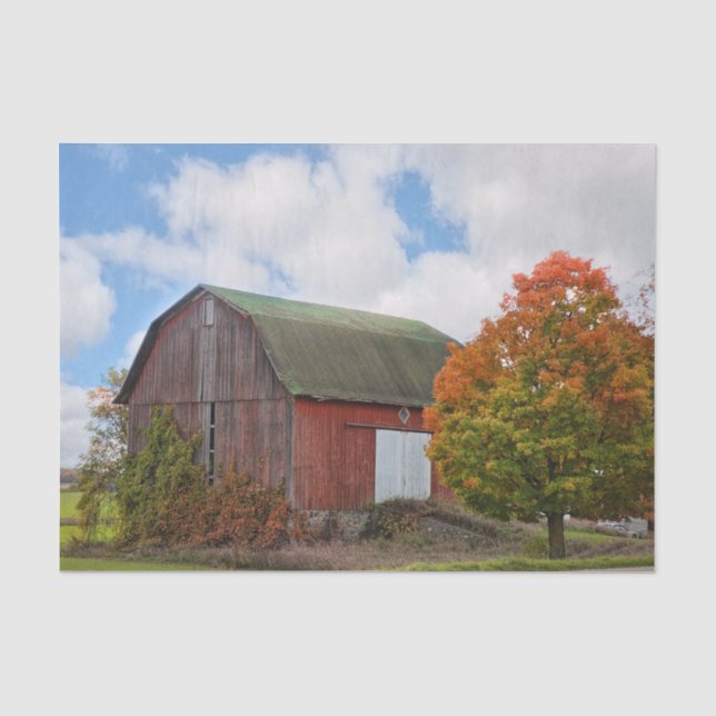 A Weathered Red Barn with a Twin Tree Tissue Paper (Front)
