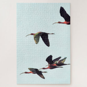 A Wedge of Ibises In Flight Jigsaw Puzzle