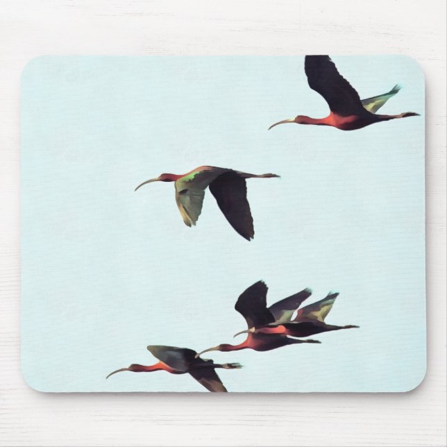 A Wedge of Ibises In Flight Mouse Pad (Front)