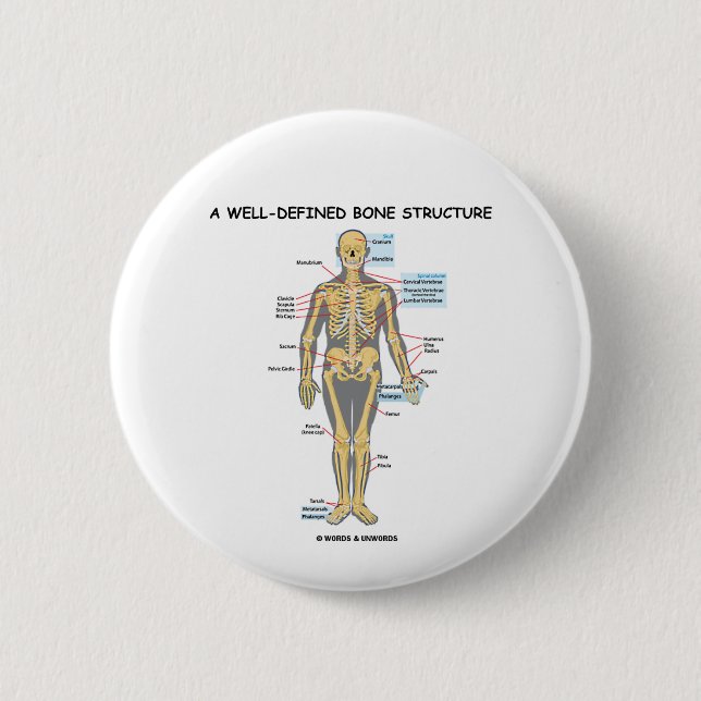 A Well-Defined Bone Structure (Human Skeleton) 6 Cm Round Badge (Front)