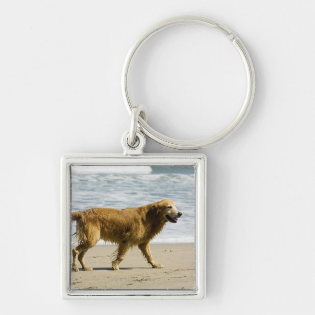 A wet dog at the beach. key ring (Front)