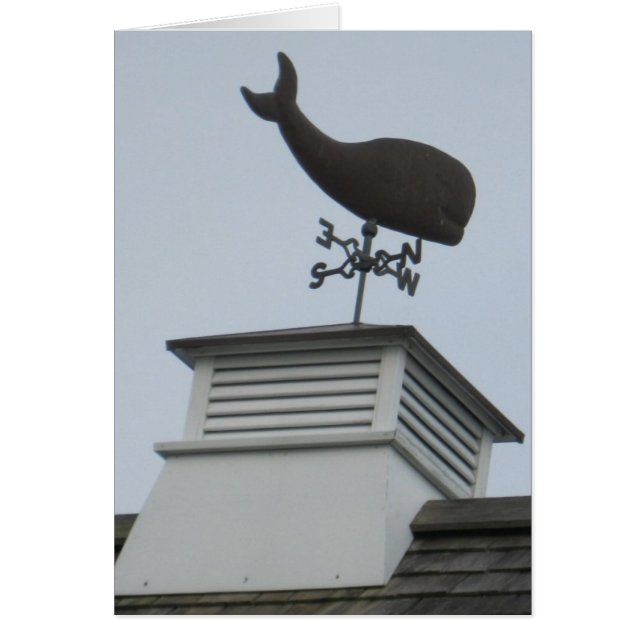 "A Whale Weathervane" (Front)