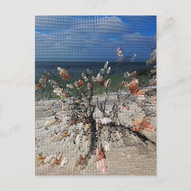 A Whisper is Sacred Postcard (Front)