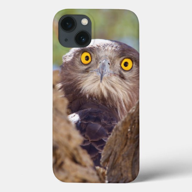 A White-breasted Snake Eagle Case-Mate iPhone Case (Back)