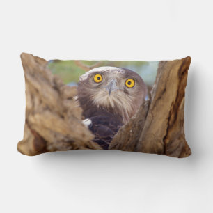 A White-breasted Snake Eagle Lumbar Cushion