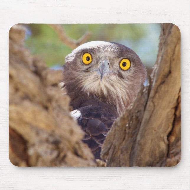A White-breasted Snake Eagle Mouse Pad (Front)