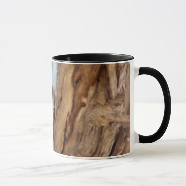 A White-breasted Snake Eagle Mug (Right)