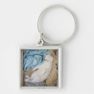 A white cat sleeping in a laundry basket, key ring