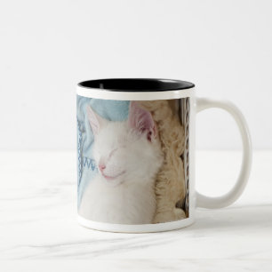 A white cat sleeping in a laundry basket, Two-Tone coffee mug