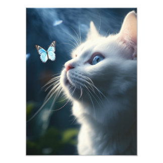 A White Cat with Blue Eyes Looks at a Butterfly Photo Print