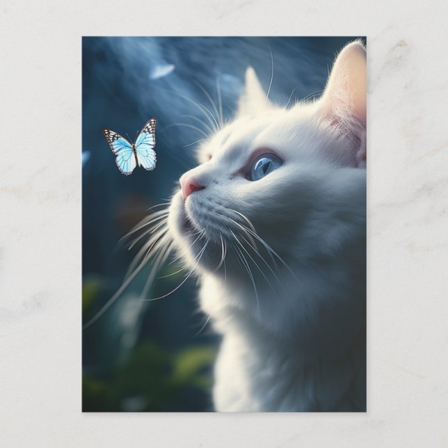 A White Cat with Blue Eyes Looks at a Butterfly Postcard (Front)