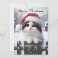 A white cat with Santa hat