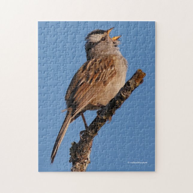 A White-Crowned Sparrow Sings to the Morning Sun Jigsaw Puzzle (Vertical)