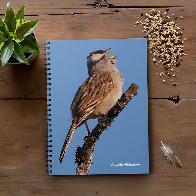 A White-Crowned Sparrow Sings to the Sun Spiral Notebook (White-Crowned Sparrow Sings to the Sun Journal Cover Photo)